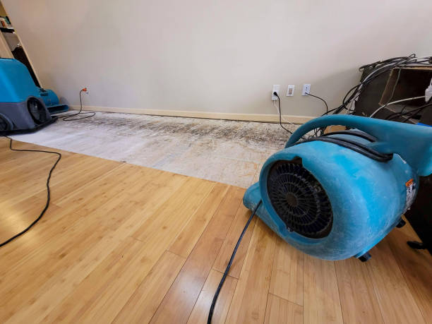 Professional Structural Drying technician working in Marion, AR